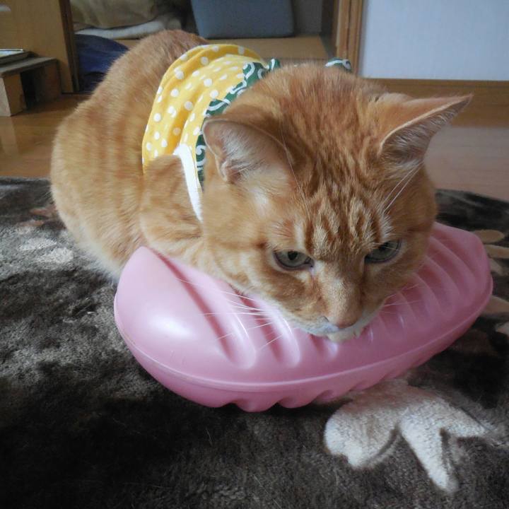 93f0eddc e947 4b17 aa70 690de932e3c8