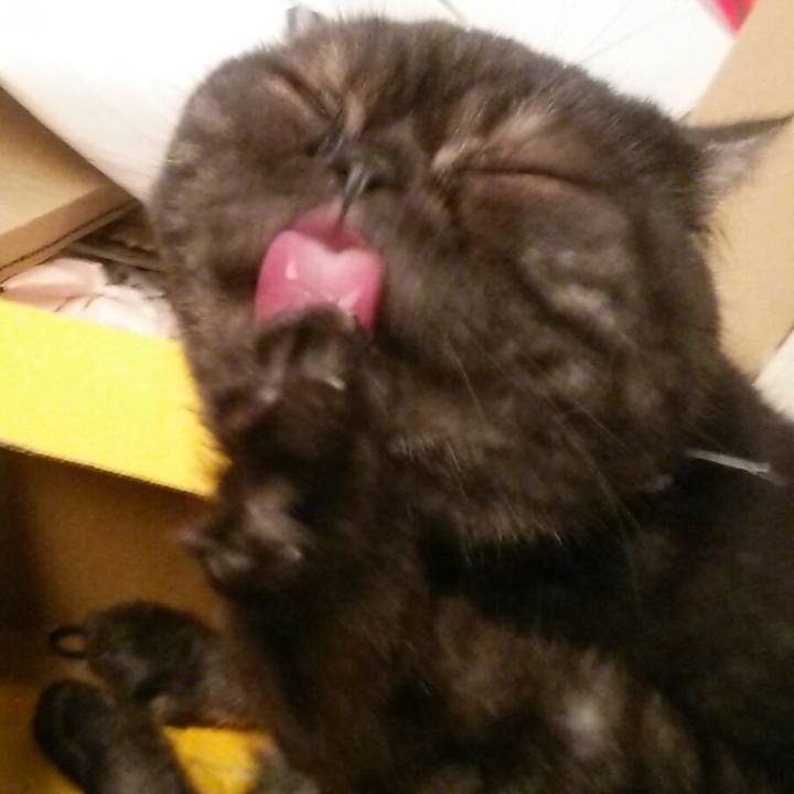 93f1e461 ad69 4028 812c 267a651dcdc5