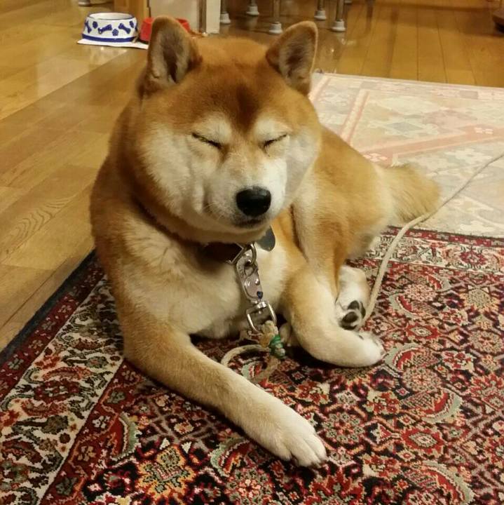 93f25ae5 57f9 41c1 83d6 e5d906e003d3