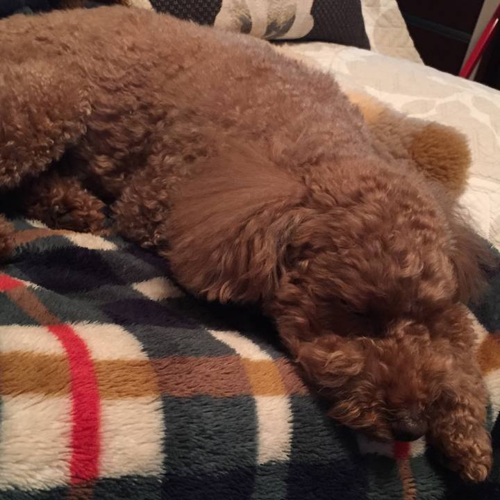 93f4b223 4f45 4be6 9e48 a004839d482a