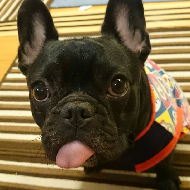 93f53087 0996 47ff b0cb 0dbae92664ec