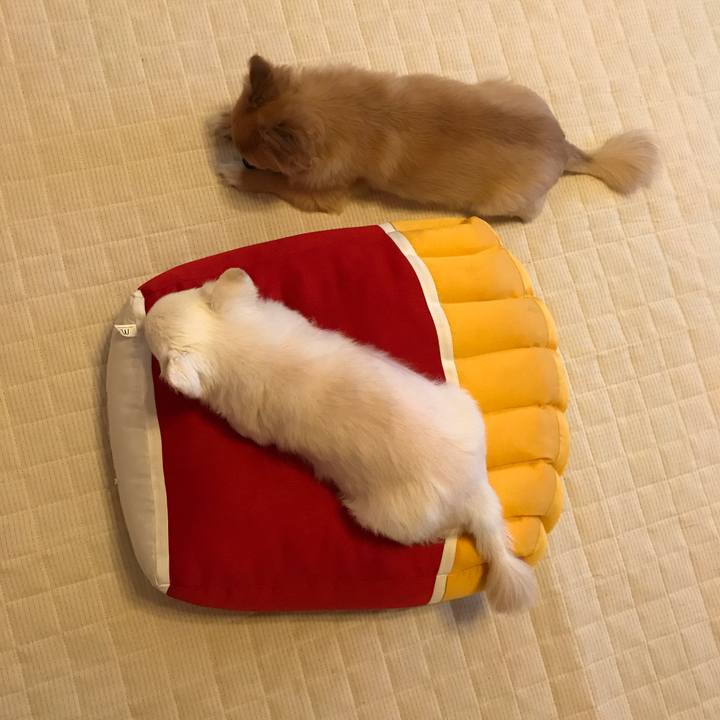 93f5663f c165 4361 8975 c4e40d657471