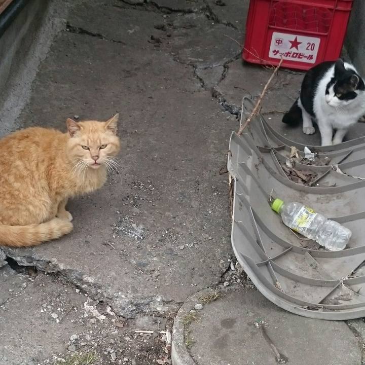 93f58a3b c9a5 48f0 8471 78cab6c68a95