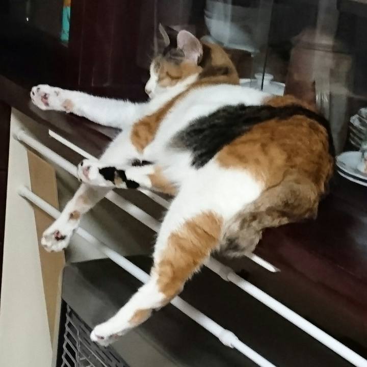 93f5f887 b414 455e bd0e eddf4917aee8