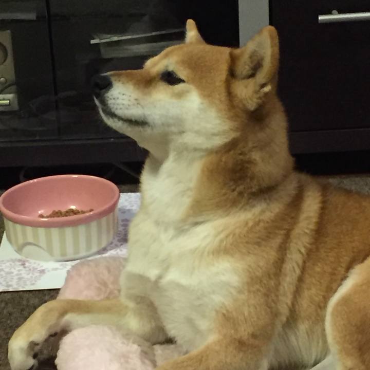 93f655f6 5796 4fab bde0 5352c19c05f2