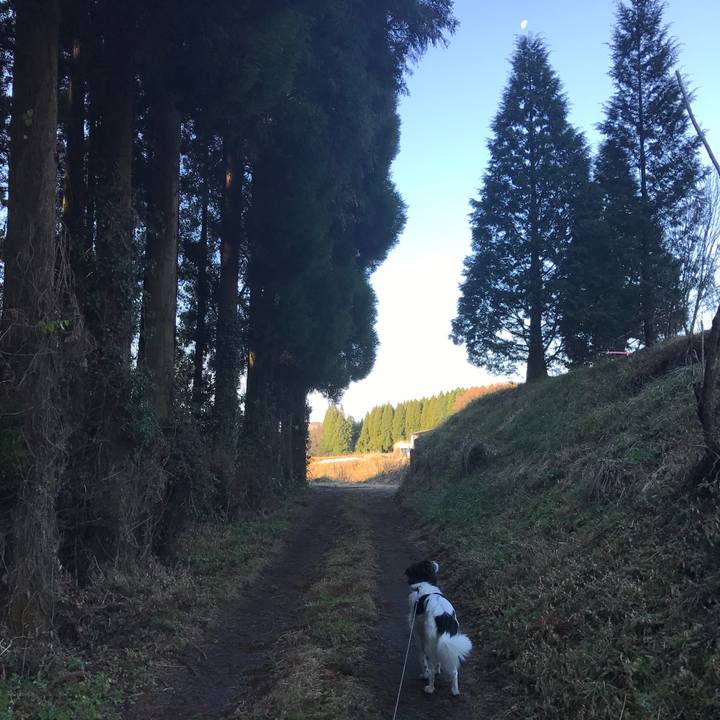 93f6cfaf 36e9 4faf 9eb1 3d33a08d1176