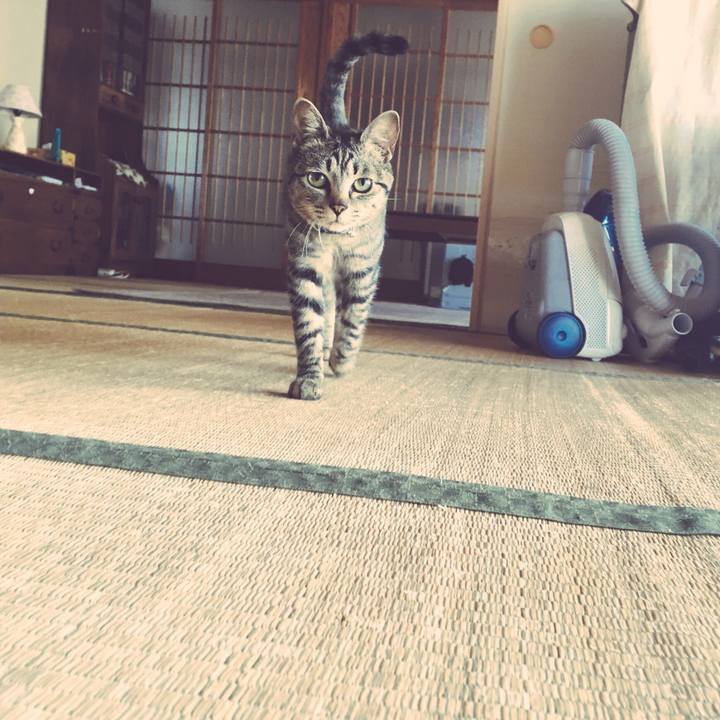 93f737dc 52fa 43f0 90bb c990162bea11