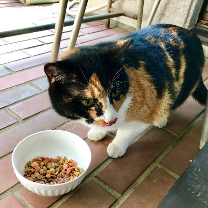 93f7464c 527c 4318 ae29 ea36360ce451