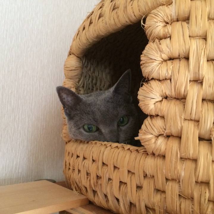 93f7542a 8441 4deb b239 646901e17894