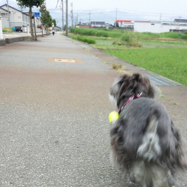 93f79165 ce32 4313 a92e b49a781141d4