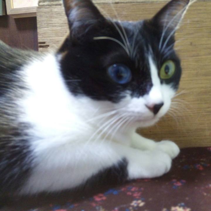 93f91811 4655 4203 a698 19ae299e8ed2