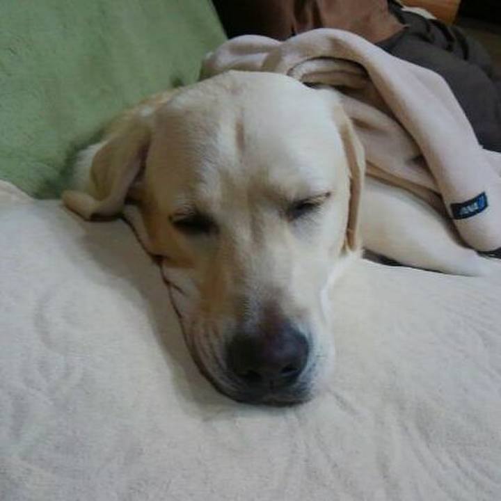 93f937f6 2aea 405f b602 8e320f55a9e0