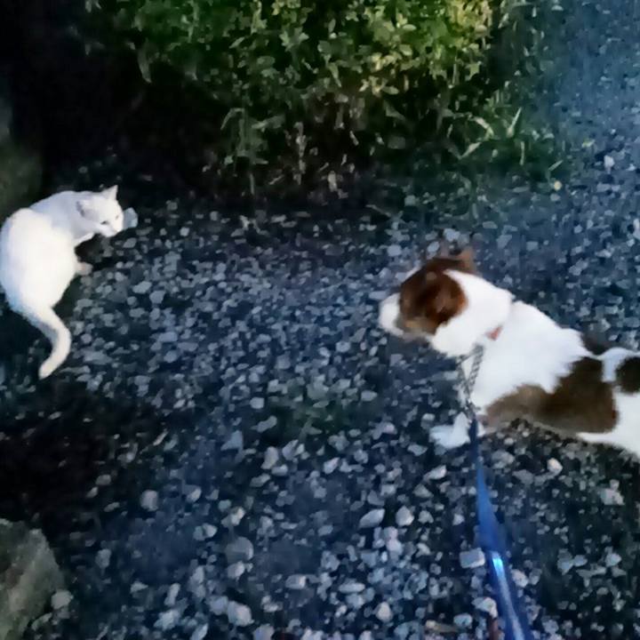 93f9677b 9523 4f98 b623 58b115e8aab3