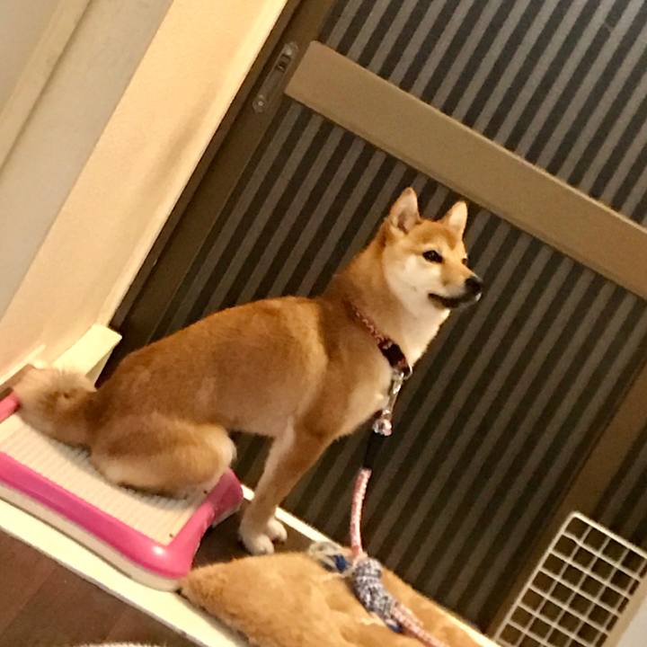 93f9cfeb 373e 4e9e 8708 3baf7b98ed29