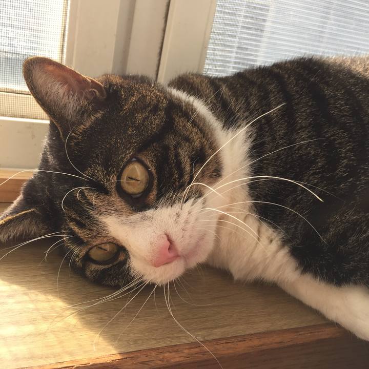 93f9f8fa 46f6 4f8f be92 410fd0f25234