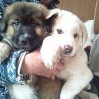 93fa1923 ccad 47de 8c3a 256f3d6be807