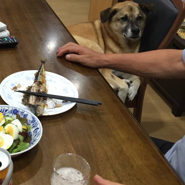 93fa711e c0c3 4166 b5dc 7ad84062bcd7