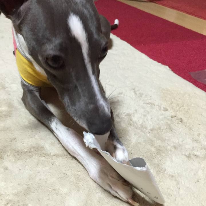 93fa8c54 9376 4b44 b52b 9d2b9a6d2a40