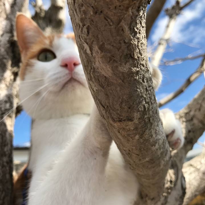 93fadcb8 7b83 4da7 a578 a9f8dd74bf7a