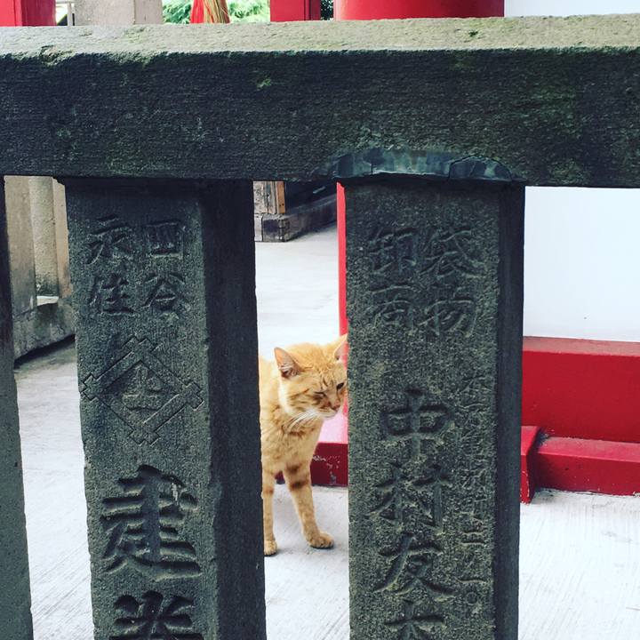 93fca19e 7ab4 4f21 9e89 8c23d6fa899d