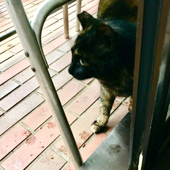 93fca954 0863 4c76 a7e2 cb202a927197