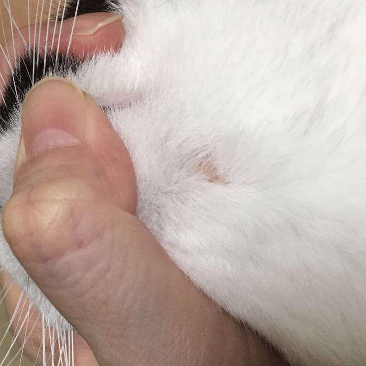 93fcadca f593 4769 b629 26e20715cddf