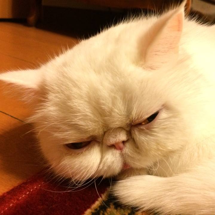 93fd750f 8029 401c adac cab6c29cf0ec