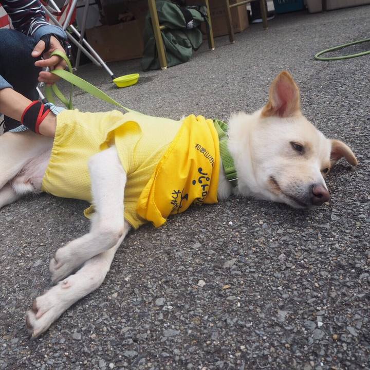 93ff4268 d3c2 4e4c a267 7f14aa8a1afa