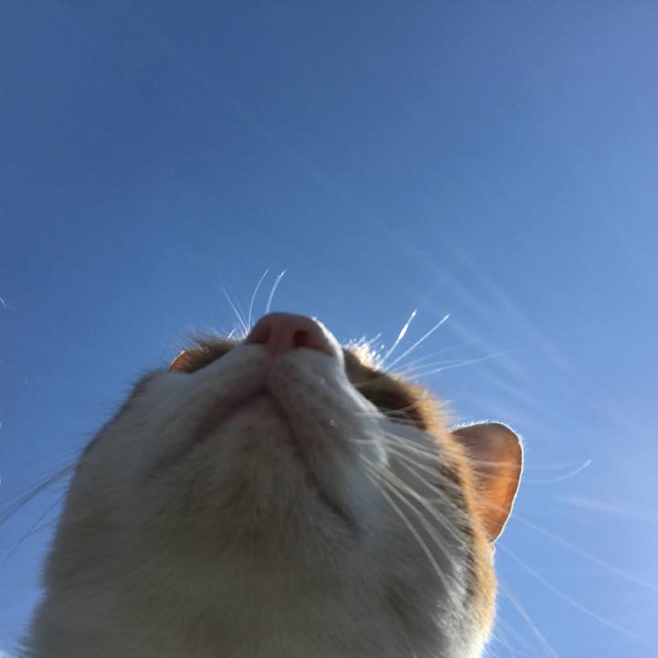 93ff894f 7db5 44b0 a9ee 90f91f1ed70e