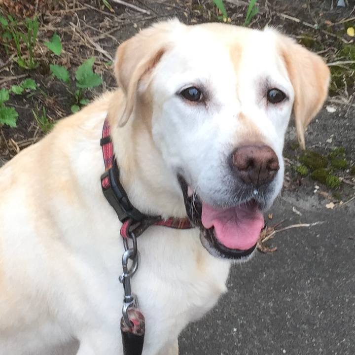 93ffc937 35c2 4c5e 9b1f 1e04c193835b