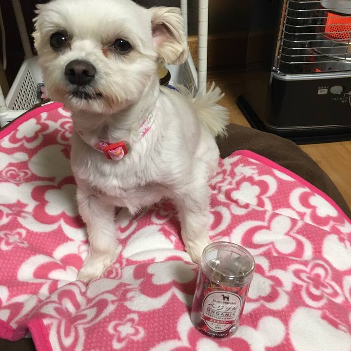 9400128d ff94 46b3 b749 9d60ab30a071