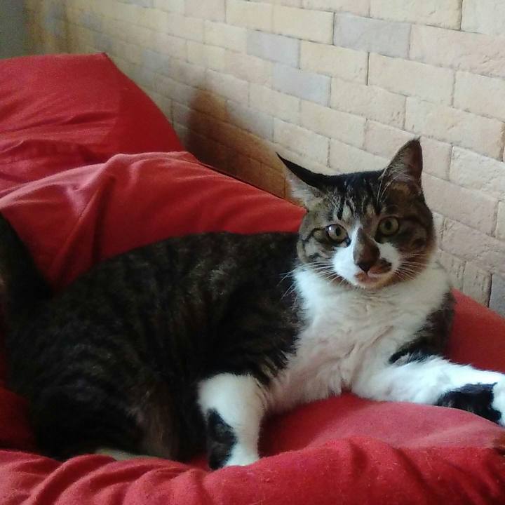 940084a9 64e2 40d8 9ccf f02b919fc51f