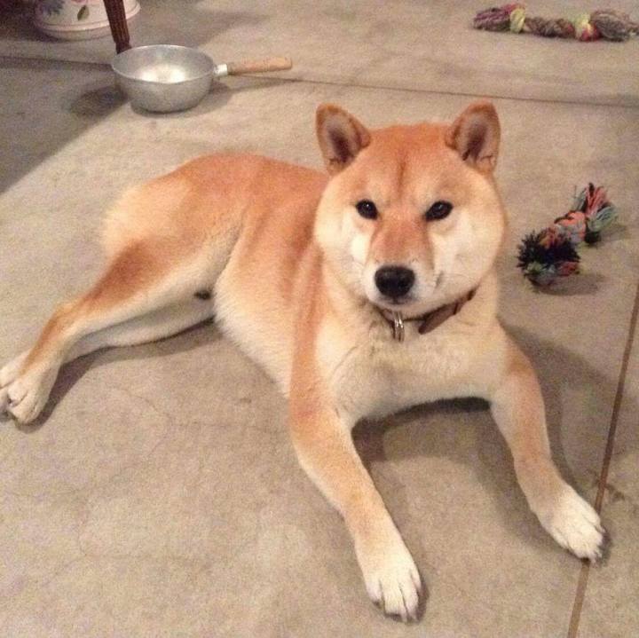 9400b7e9 1c57 4509 95f4 2005024aea9f