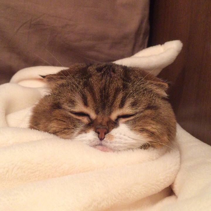 94018fa8 99fb 4a4f b275 d9abb6b32bf3