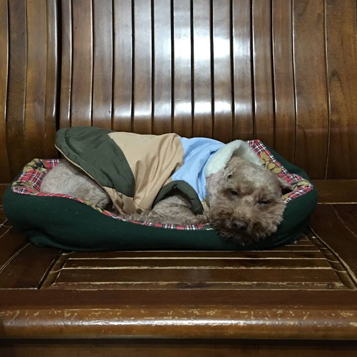 9401a0b3 1d27 4eb8 a2cd 59b6d0bf64fb