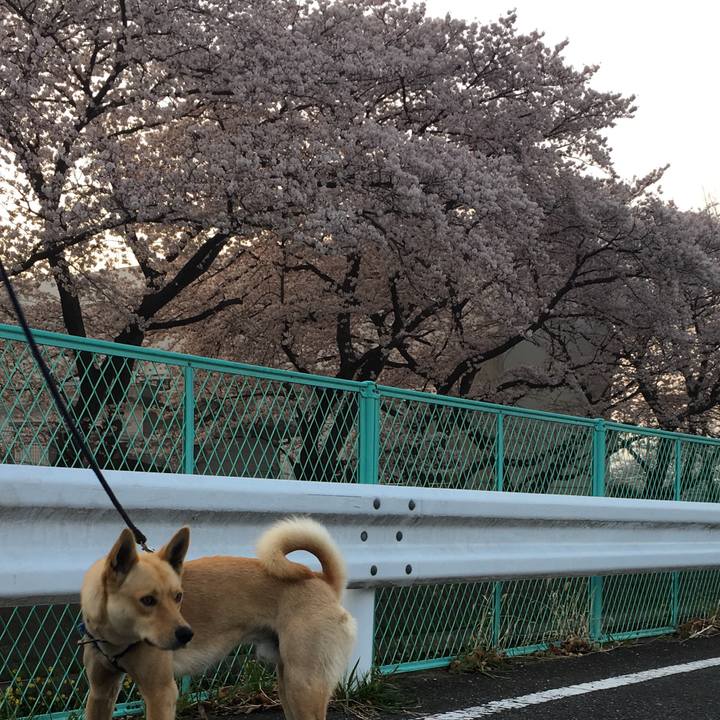 9401ae0b 95fe 498e a785 18cd244d112c