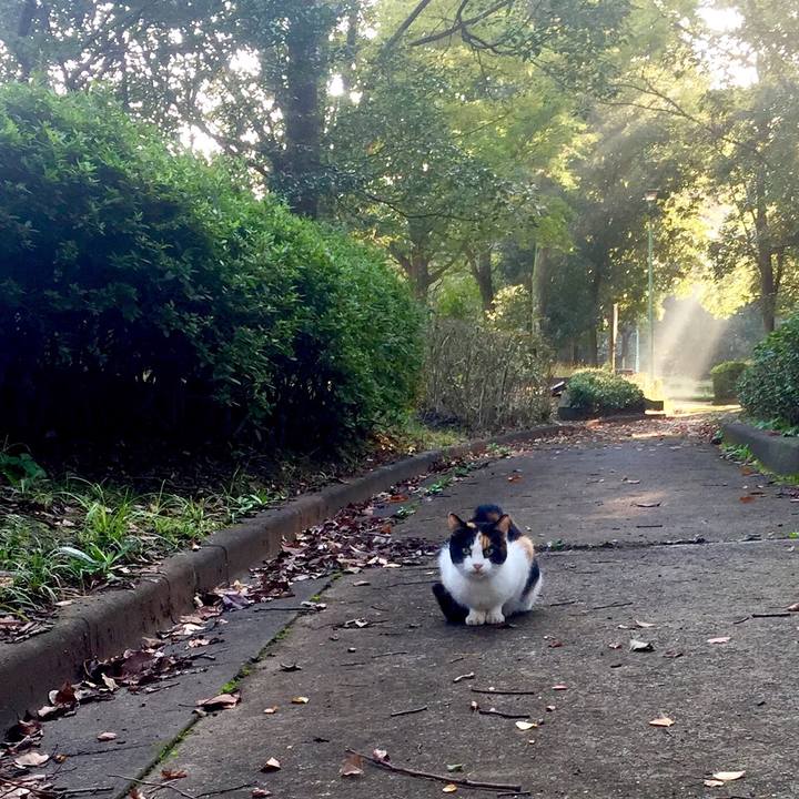 9402ae94 a442 4eeb 9146 0c72b3fbdb41