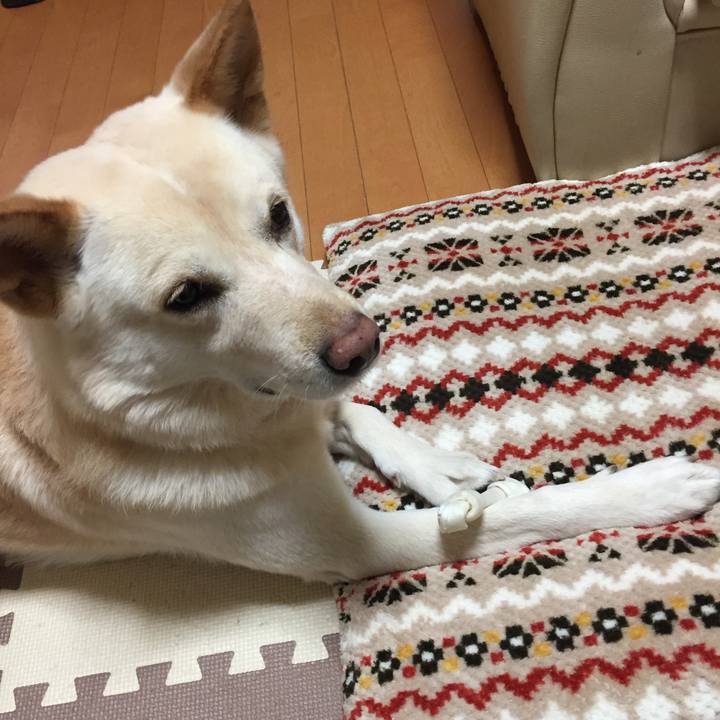 9402d3d5 b68c 4e09 92d1 531bb722e6b2