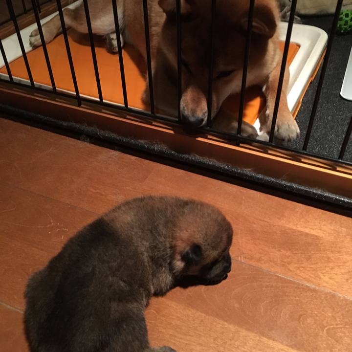 94049132 c9d4 41d1 909e 7d7f7ee941d5