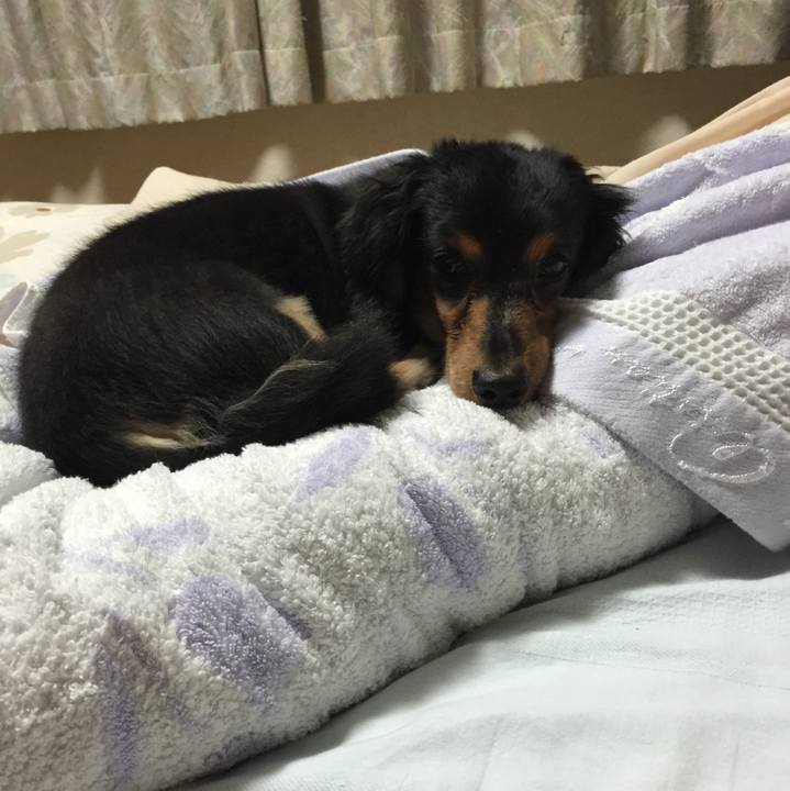 9404ba2c 0045 426a bb22 48ec87c15758