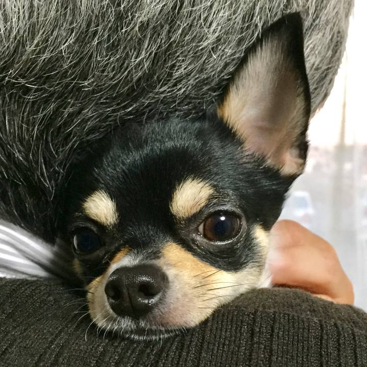 9404cec9 ae13 442a 8c97 3a01477c9a11