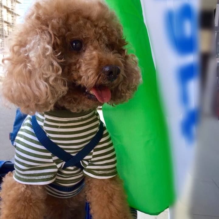 94059214 618d 4277 9dfb cc1257c6638f