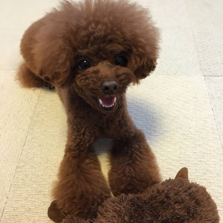 94059fda 05b1 4b2c 88a2 cf550aa4be05