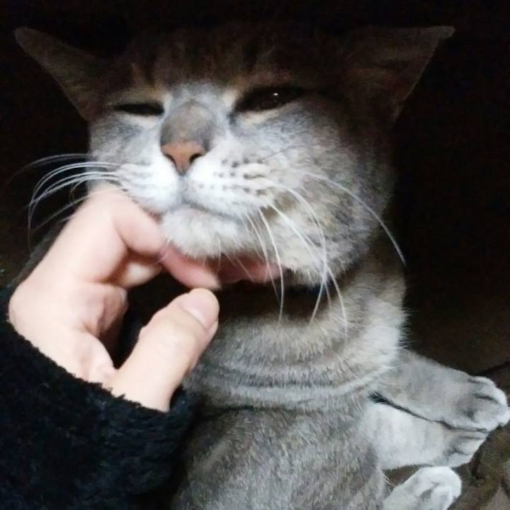 94067eee 2550 48a1 868c fe9afb160c31