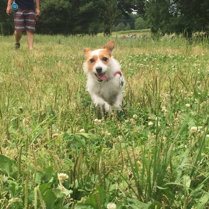 9406ceed 2d30 47ef 8633 1cb5a8dc5c94