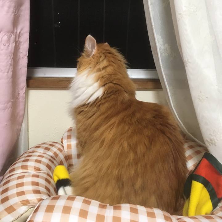 94079618 8847 4eee aff3 4dfaaed0b9b8