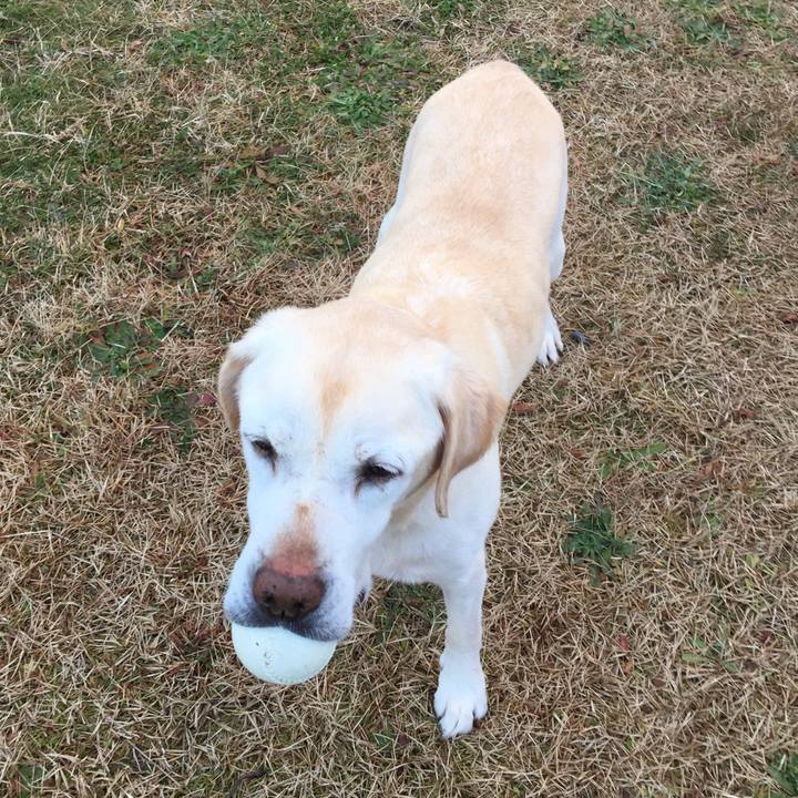 9407b8c4 4d9f 4d14 b181 ee0f03c207ad