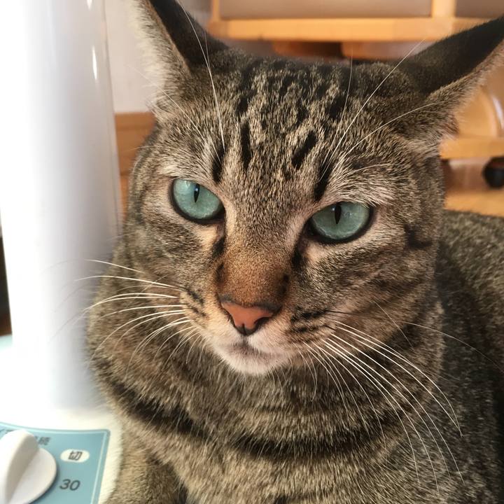 94082505 1b67 451a a8a2 f63c12942742