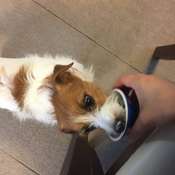 940883e9 2496 4003 87c4 3aec9429ab89