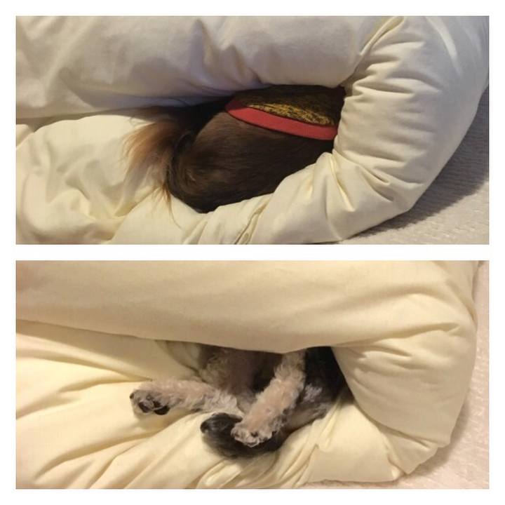 9408d90d ac25 4a6d 808f c4e050cee79b